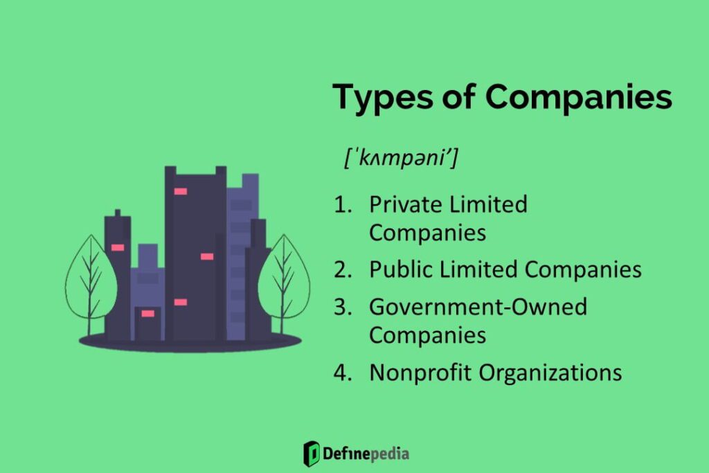 types of company definepedia