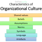 Organizational Culture: Definition, Characteristics, Roles, Types