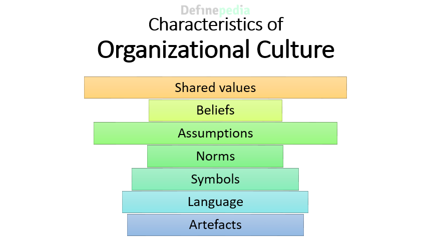 Organizational Culture: Definition, Characteristics, Types, Roles