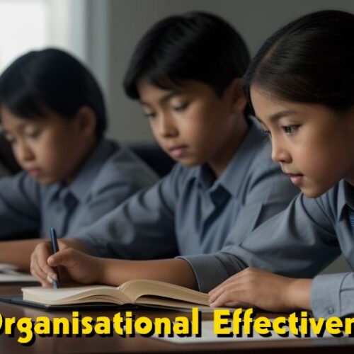 What is Organizational Effectiveness? | Definitions, Strategies (With Examples)